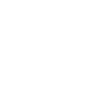 BAKU DOG